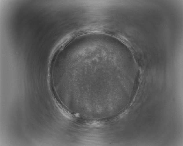 X0000068750293200605051547