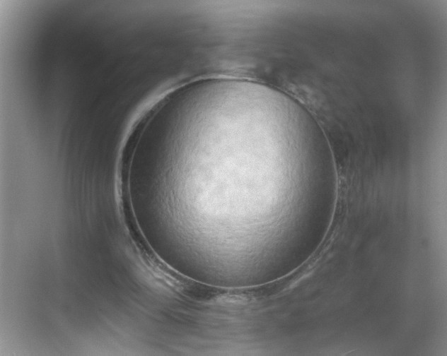 X0000068750294200605051547