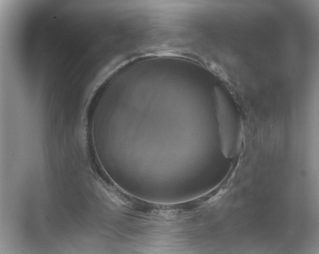 X0000068750295200605051547