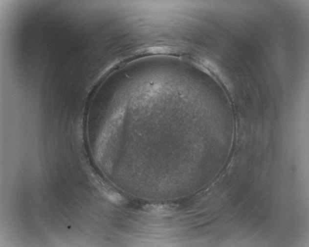 X0000068750297200605051547