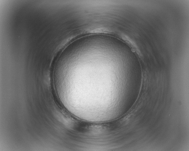 X0000068750298200605051547