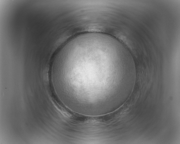 X0000068750299200605051547