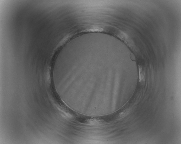 X0000068750300200605051547