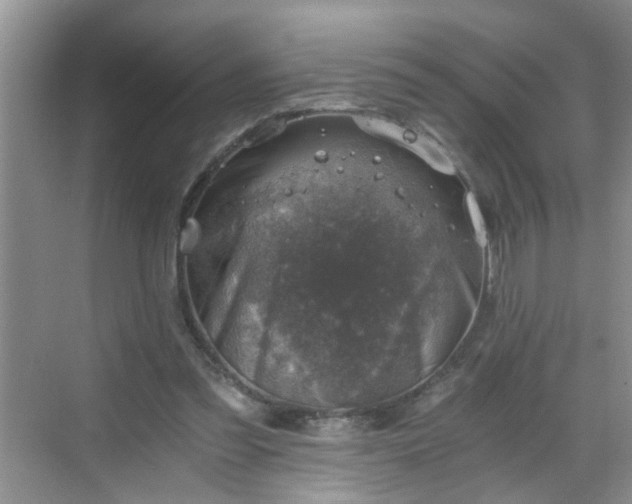 X0000068750301200605051547