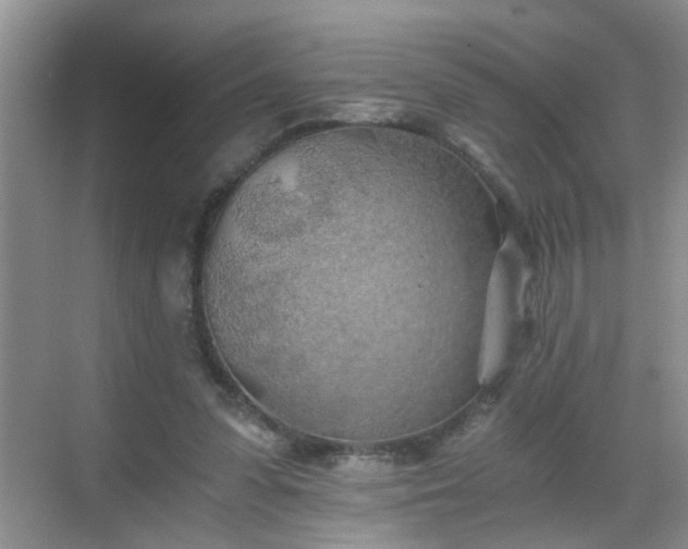 X0000068750303200605051547