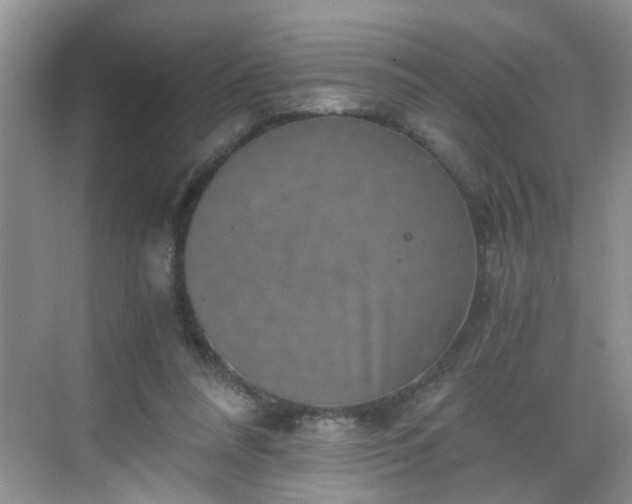 X0000068750304200605051547