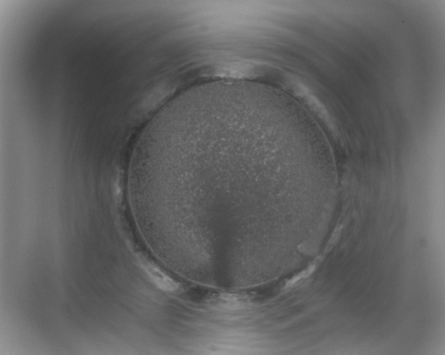 X0000068750305200605051547