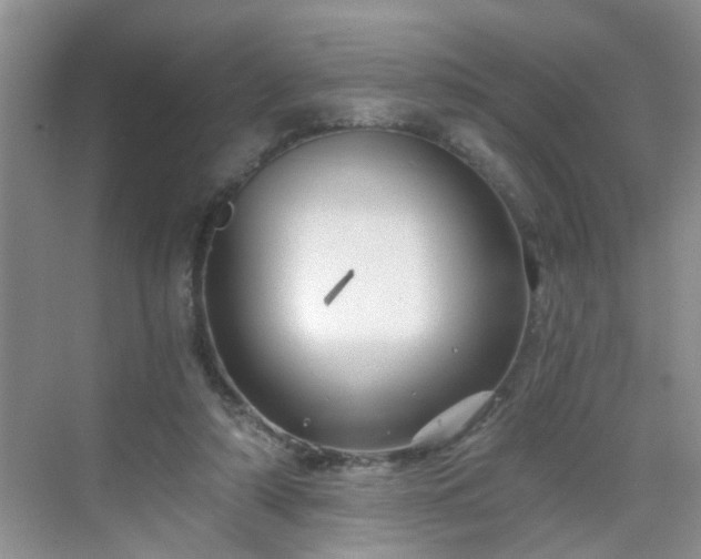 X0000068750306200605051547