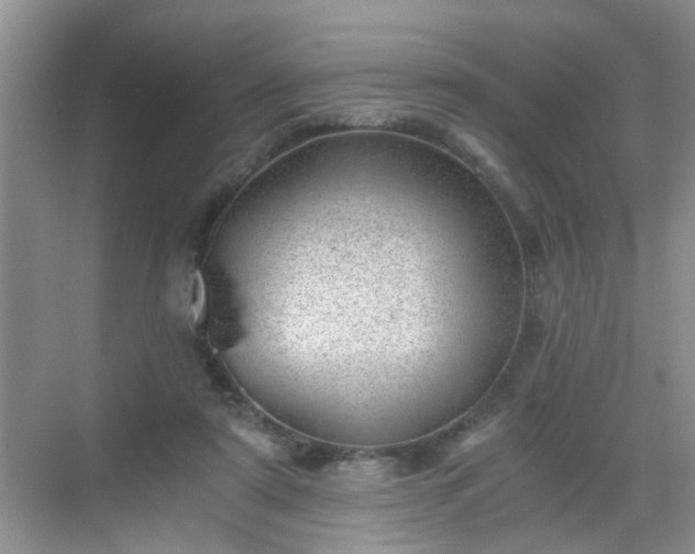 X0000068750307200605051547