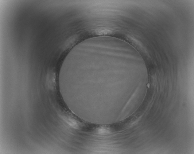 X0000068750308200605051547