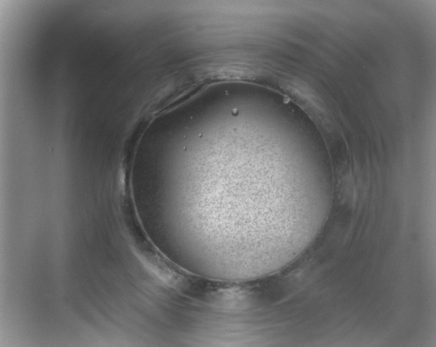 X0000068750310200605051547