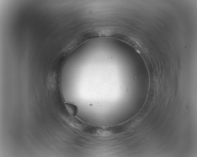 X0000068750311200605051547