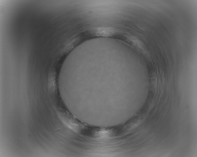 X0000068750312200605051547