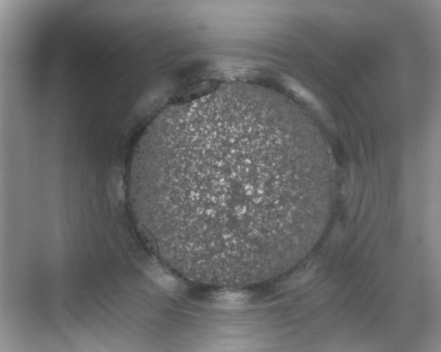 X0000068750313200605051547