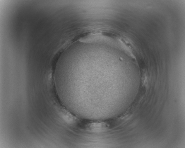 X0000068750314200605051547