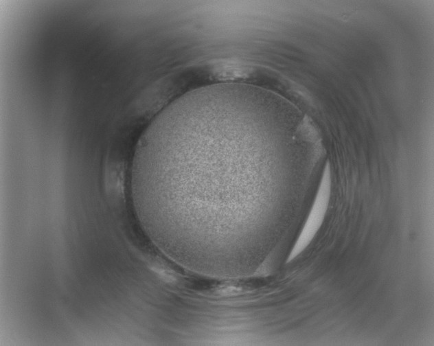 X0000068750315200605051547