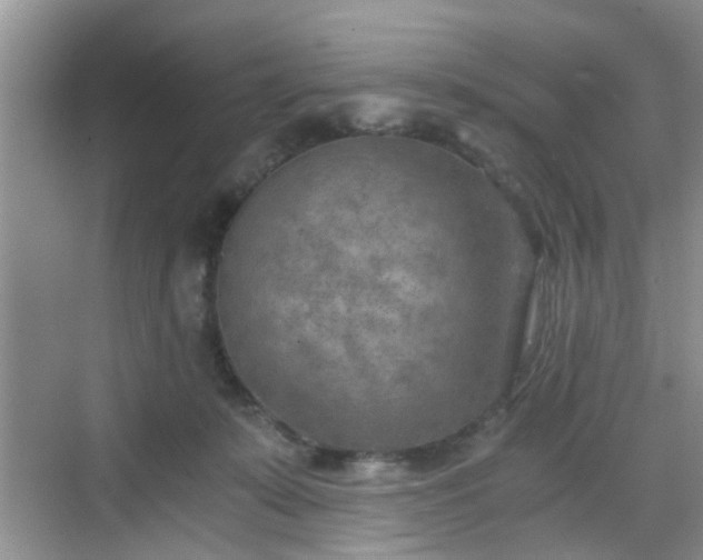 X0000068750319200605051546