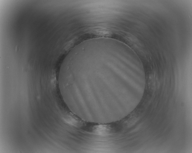 X0000068750320200605051546