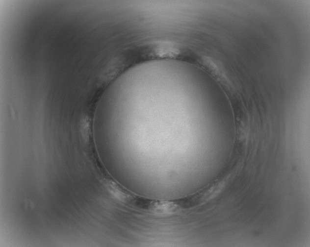 X0000068750321200605051546