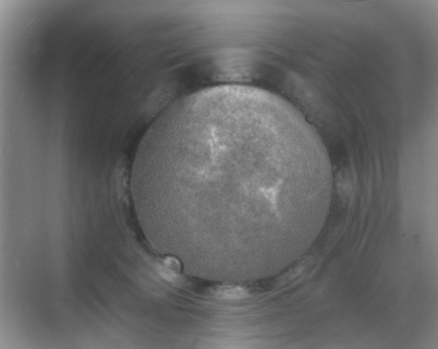 X0000068750322200605051546