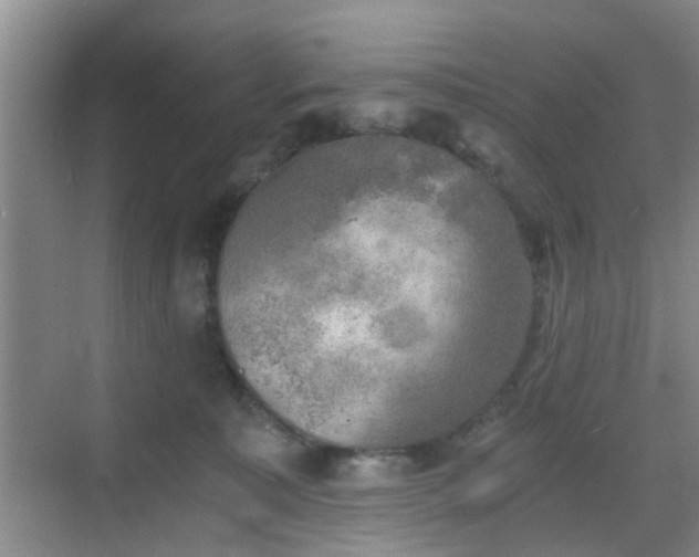 X0000068750323200605051546