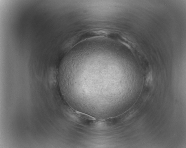 X0000068750325200605051546