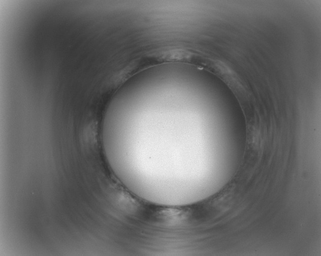 X0000068750326200605051546