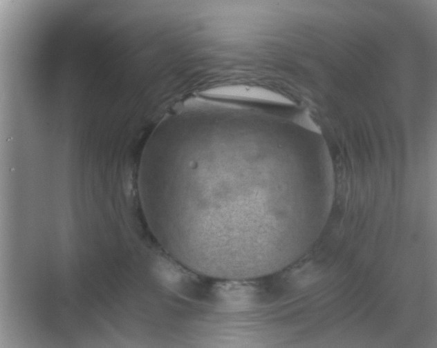 X0000068750331200605051546