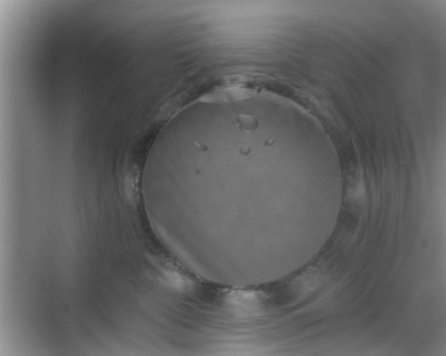 X0000068750332200605051546