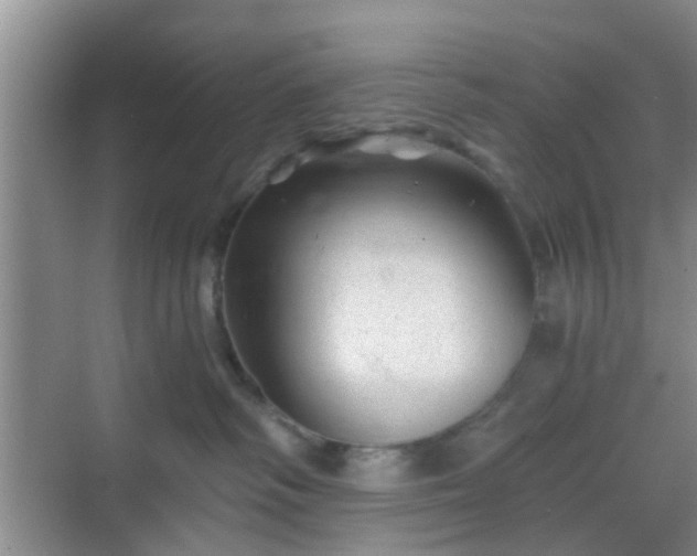 X0000068750334200605051546