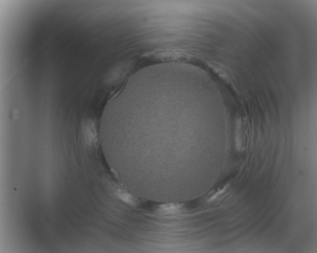 X0000068750335200605051546