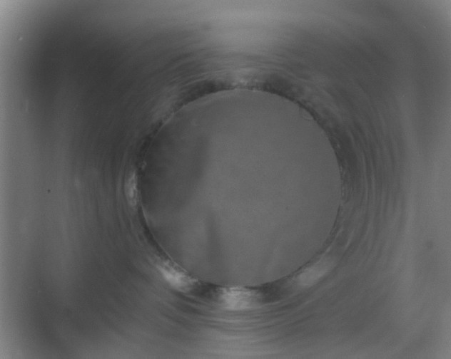 X0000068750336200605051546