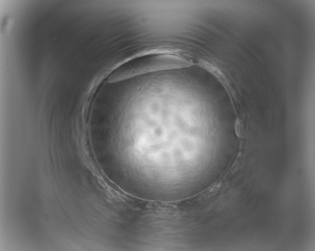 X0000068750337200605051545