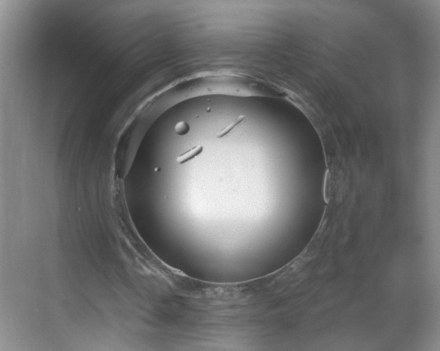 X0000068750338200605051545