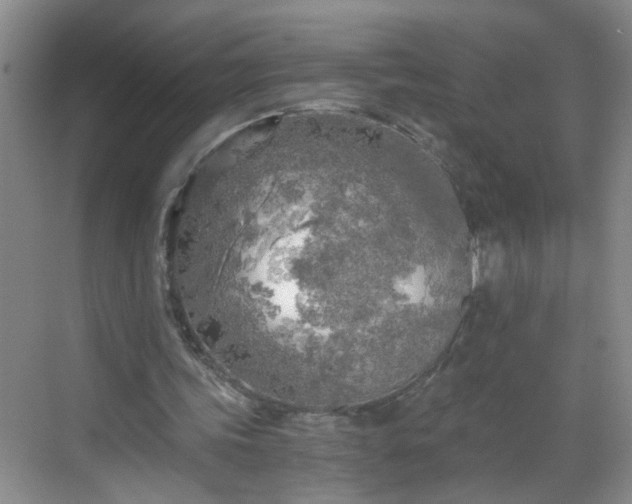 X0000068750339200605051545