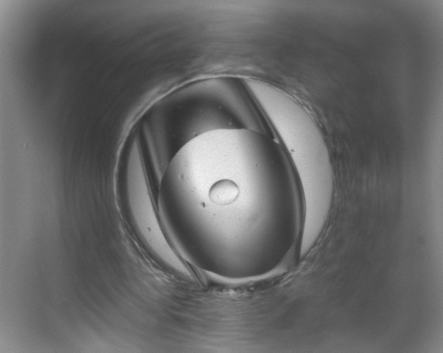 X0000068750340200605051545