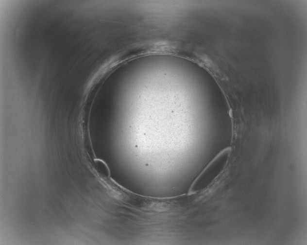 X0000068750341200605051545