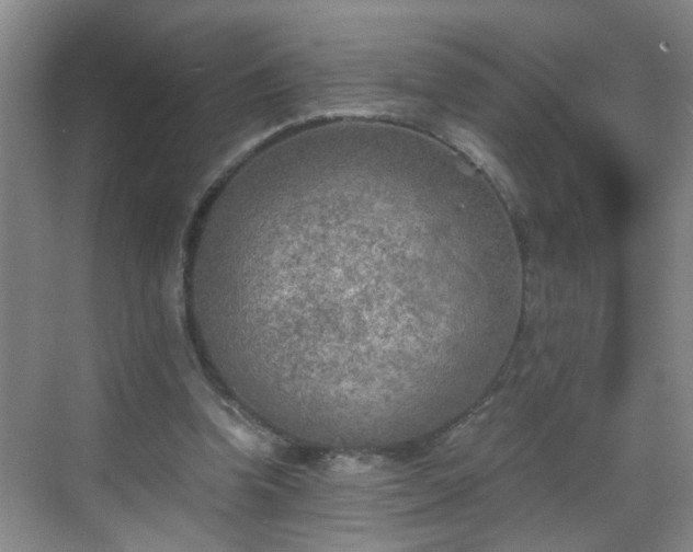 X0000068750346200605051546