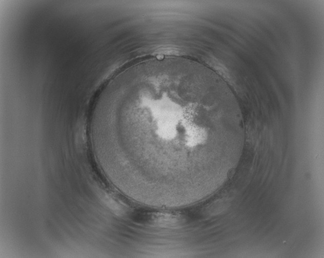 X0000068750347200605051546