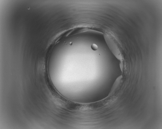 X0000068750348200605051546