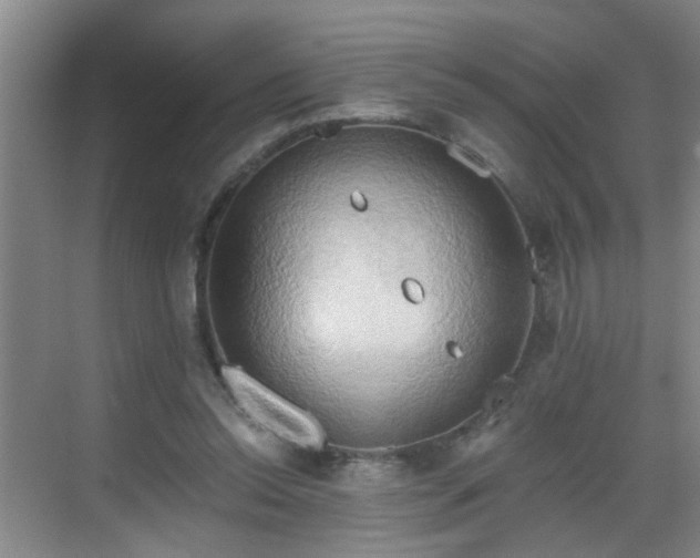 X0000068750350200605051546