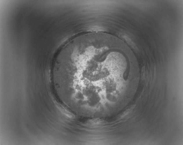 X0000068750351200605051546