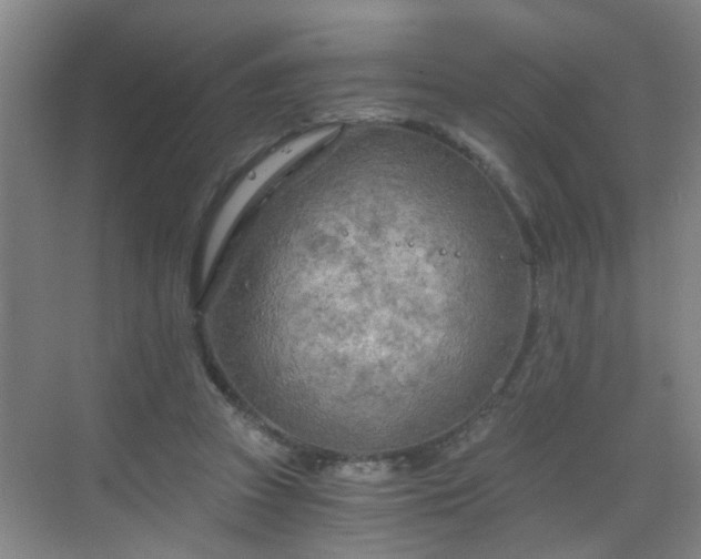 X0000068750353200605051546