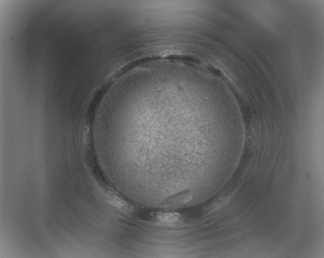 X0000068750355200605051546