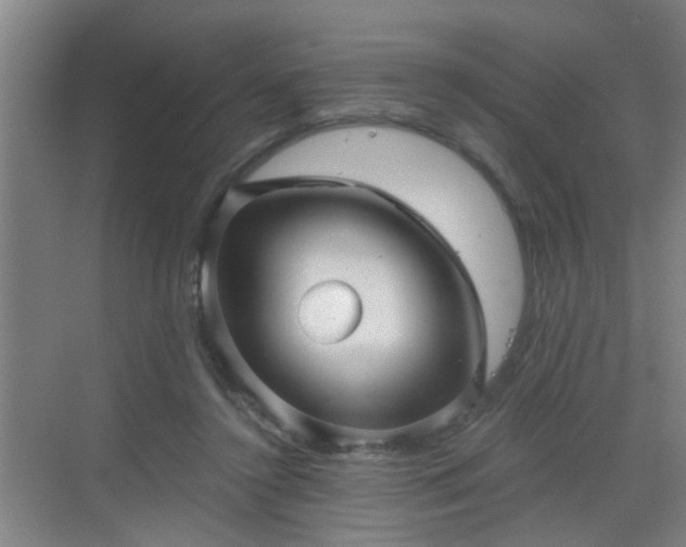 X0000068750356200605051546