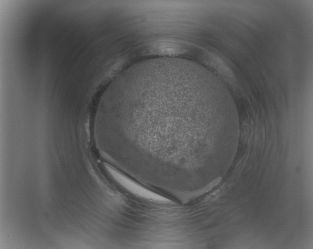 X0000068750358200605051546