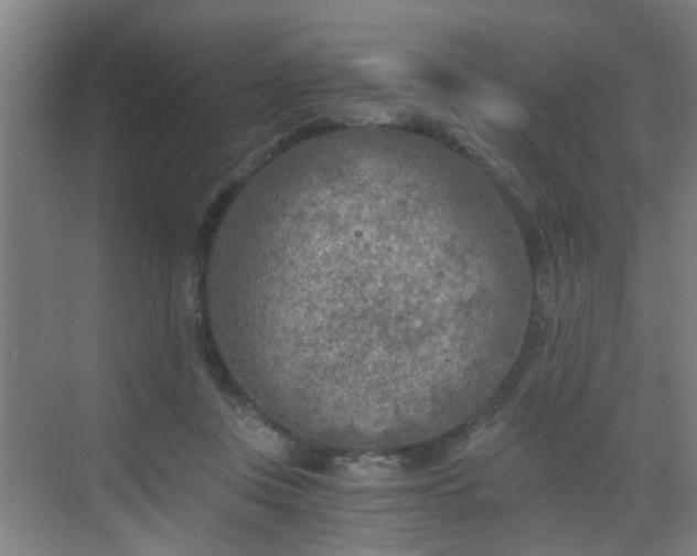 X0000068750359200605051546