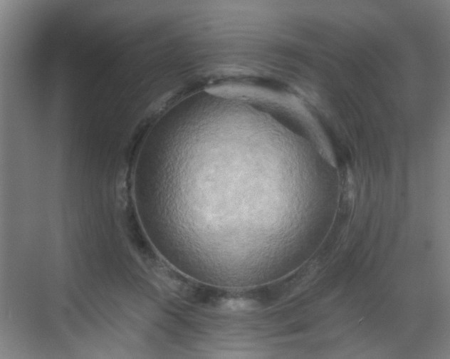 X0000068750360200605051546