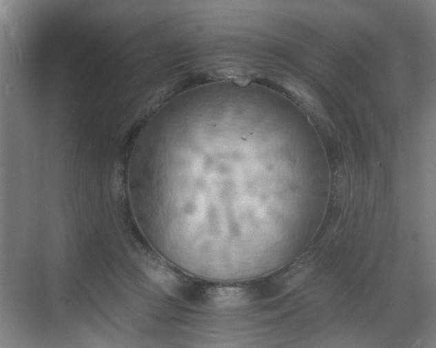 X0000068750361200605051546