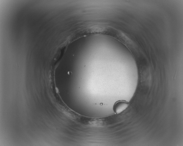 X0000068750362200605051546